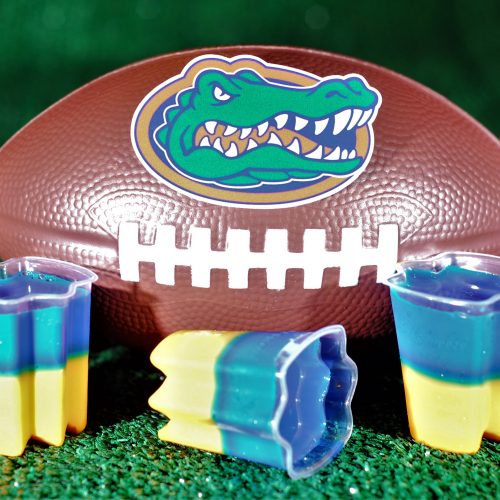 Jello Shots every TRUE Florida Gators fan needs to try!