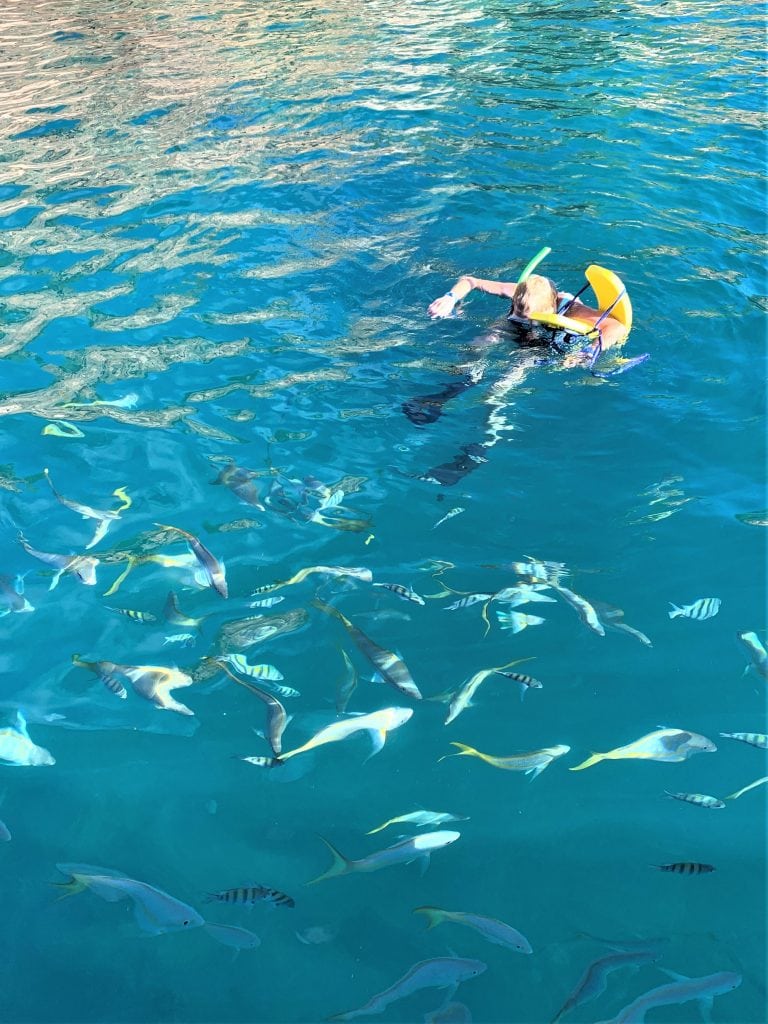 Feeding the fish Norman Island the Caves