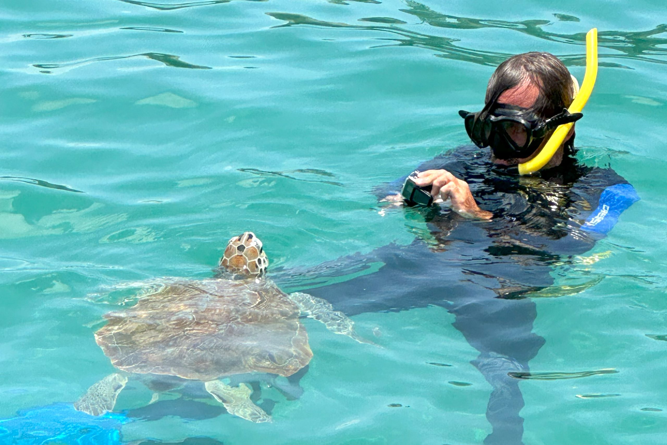 Playa Piskado - Swimming with Turtles