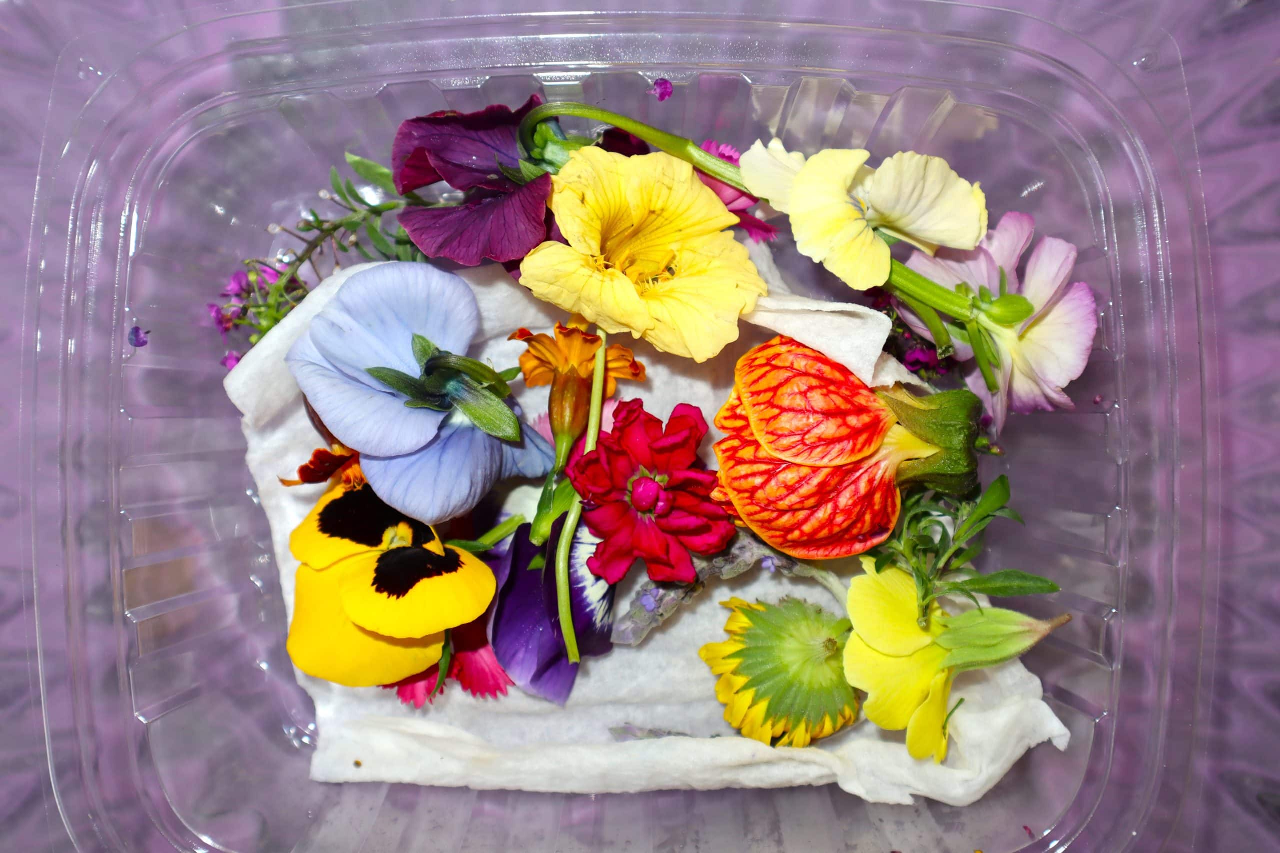 Edible Flowers