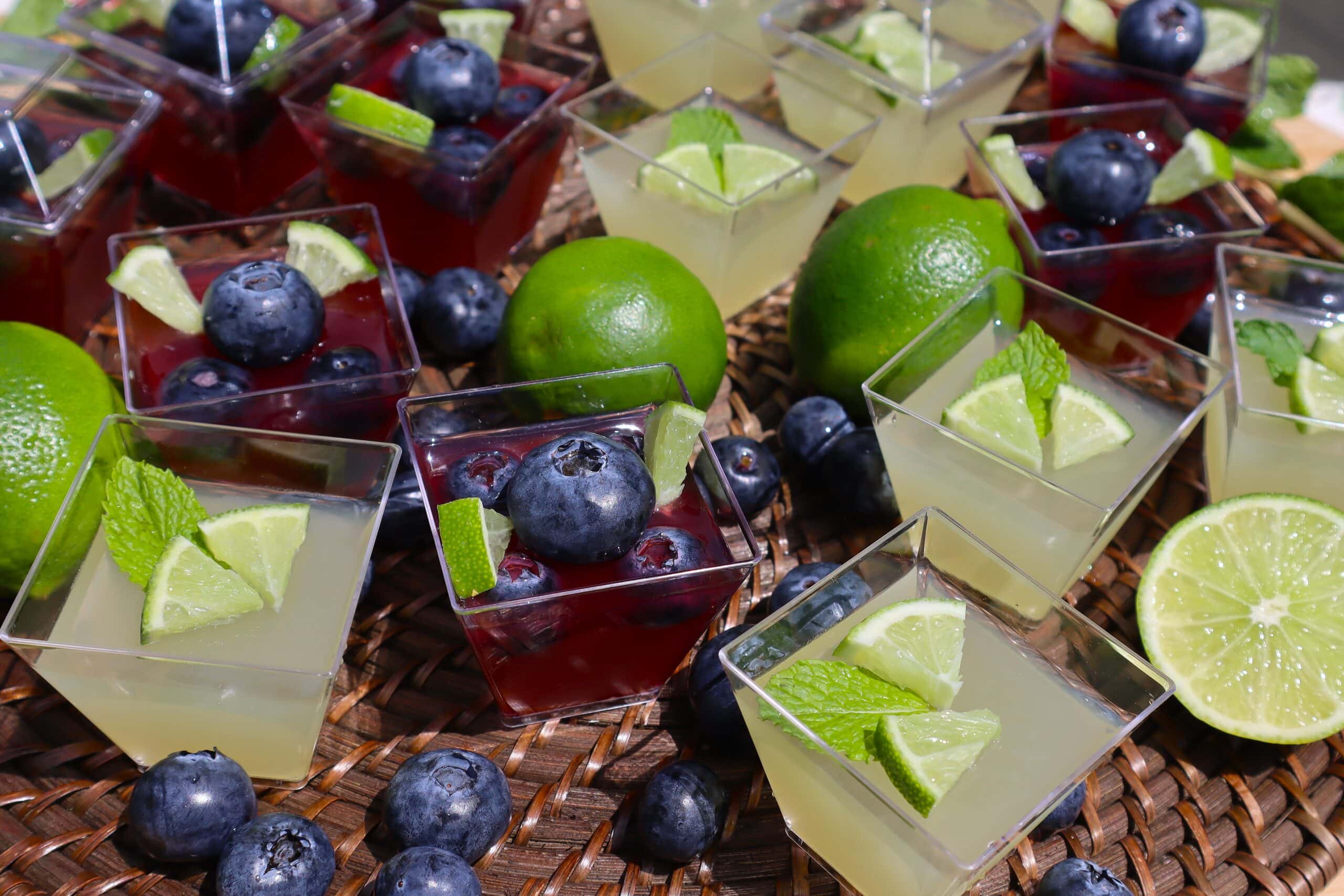 Mojito Jello Shots With Limes, Mint, and Blueberries